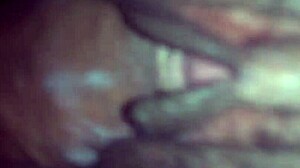 who’s banging anega from trás barras tonight?