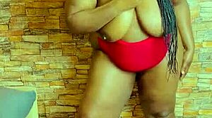 sundaydogood614 update 869 vid 20250322 132841 mar 22 2025