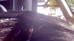 need a ride with milfycalla?