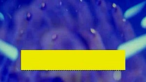 Manuel Slams Delivery Girl Lexi Lore Hard Doggystyle