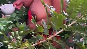 Evangelical neighbor picking fruits outdoors.