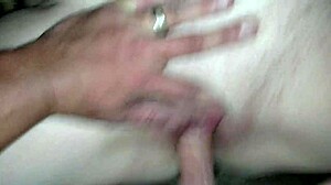 Wife's panties conceal pussy creamed by monster cock