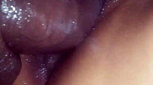 intense fucking leads to creampie with my wife! raw and wild action.