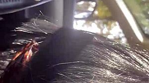 need a ride with milfycalla?