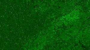 crazy girl pees in panties on beach