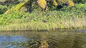 ब्राजीलियन वाइफ की टाइट वेट पसी को दूसरा गाय रिप करता है। कॉर्नो मानसो उसे रॉ ऐस फक होते देखकर रोता है।