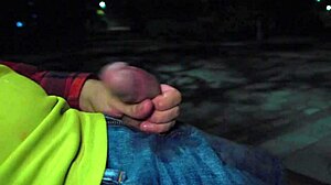 I flashed my big cock in the night park, and the stranger teen couldn't resist, making me cum.