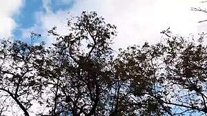 Forester Girl And I Fucked Hard In The Hut!