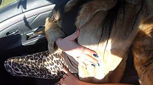 cheating wife shops fur-coat, sucks husband's friend outdoors