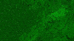 crazy girl pees in panties on beach