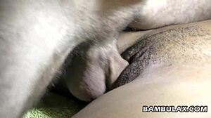 Ebony girlfriend surprises with big white cock creampie