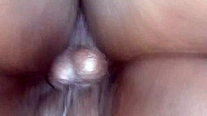 pov view of doggy style with ebony ass on jul 15 2024