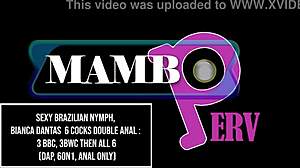 Can Sexy Brazilian Bianca Dantas Handle 6 Cocks In Double Anal Madness?