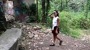 looking for a place in the woods with nature