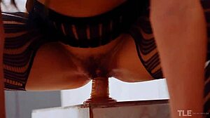 sofia torres in fishnet stockings plays with toys