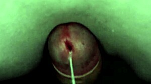 Watch me rub and cum under these sheets?