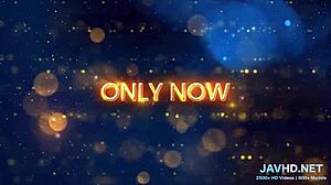 why is this pussy wet vol 12