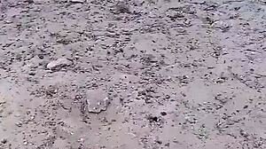 I fucked the pretty girl lost in the bush with huge tits!