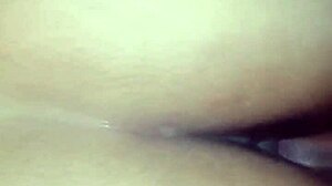 Colombian Bride Sucks Dick