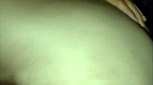 Bailey in doggystyle position