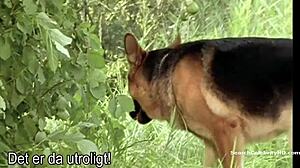 sabine petzl in kommissar rex 1994 summer murder with topless scenes