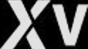 Steph Provides an Intense Blowjob to Her Partner.