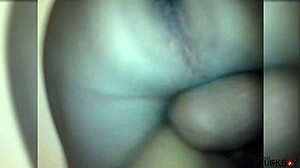 Mexican wife moans during assfucking. Clothes ripped on bed.