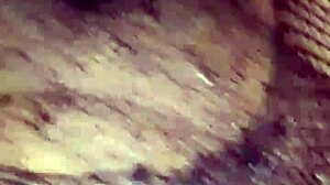 june summers, the real milf, strips and uses her big tits for blowjob and titty fuck before creampie