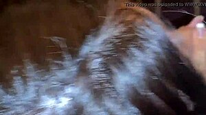 Anal Sex With Sao Paulo Reporter In Rio