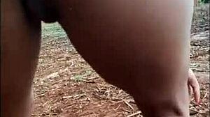 pequena caipira dança funk no canavial