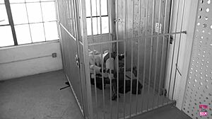 Two Blonde Lesbians Eat Each Other Out At Work After Making Out!