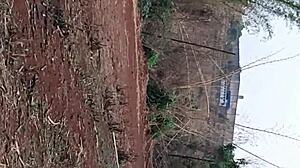 pequena caipira dança funk no canavial