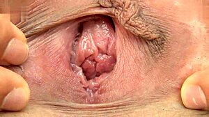 Asami's hairless pussy strains in a tight micro bikini that tears away during her naughty cosplay.