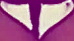 Roblox Elf Girl Gets Impregnated By Monster Cock