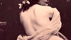 what secrets hide in dark lantern's vintage life?