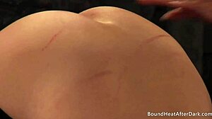 i whipped and groped my bound lesbian handmaidens as mistress