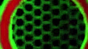 Lauren Phillips in lingerie gets her big pussy licked to orgasm with dirty talk