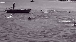 my secret life vintage mermaids