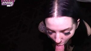 did lily get anal creampied by seth brogan in lingerie