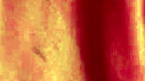 Horny slut on all fours for me, ass damaged, little whore sex toy