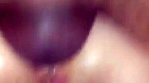 homemade sex with hairy pussy licked to orgasm in wild amateur session