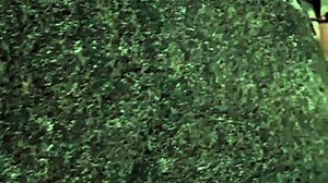 Public Beach Scene Where I Made My Cousin And Girlfriend Suck Cocks Right There