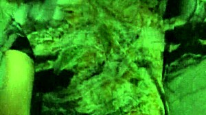 Breed whore gets humiliated as birth control is thrown out and she's fucked full of cum.