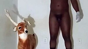 More ways to show zodiac patience without masturbating