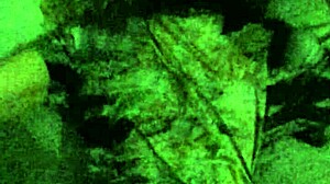 Breed whore gets humiliated as birth control is thrown out and she's fucked full of cum.