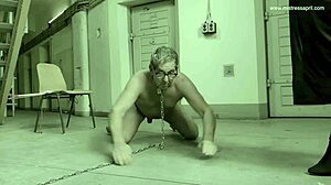 Mistress april hosts a bdsm game show