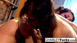 charlie dives into wet pussy fun with sexy brunette capri's big tits