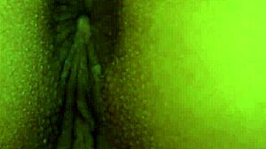 Moreninha natural gives ass and pussy without condom