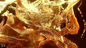 Wow! Daniela Garcia Takes 2 on 1 Hardcore Anal BBC!