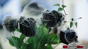 Intense Halloween Fuck with Stepsister Hailey Rose